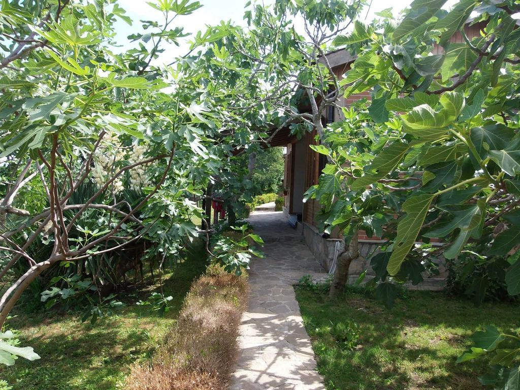Villas And Bungalows Panorama Chernomorets Exterior foto